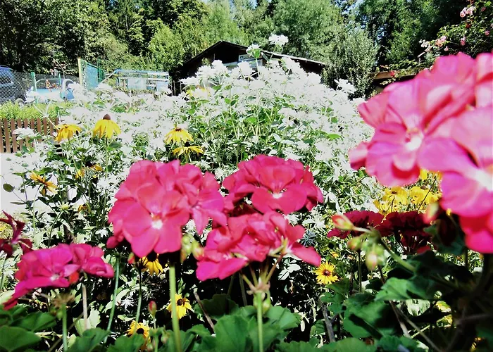 Gorski Kat 3* Kiten (Burgas)