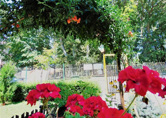 Gorski Kat Kiten (Burgas)